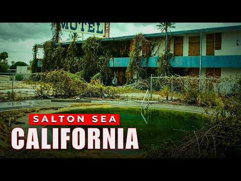 The Vanishing Salton Sea